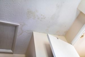 ceiling with mold and damage from a roof leak in san antonio
