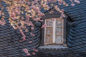 a roof in spring with flowers in foreground
