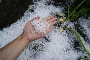 photo of a hand holds several hail stones